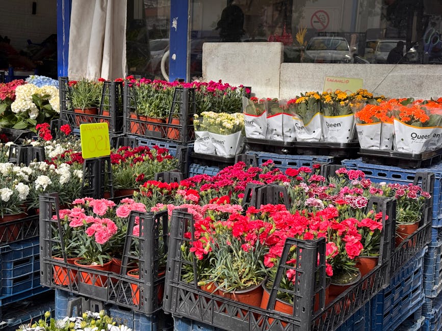 An outdoor display of freshly potted flowering plants arranged in black plastic crates on a sidewalk. The collection includes pink, red, white, yellow, and orange blooms, with the flowers appearing vi