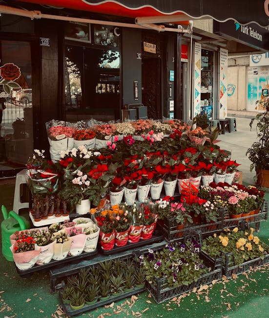 Outside a flower shop with a display of fresh flowers and floral arrangements in various containers. The arrangement includes pink, red, and white blooms, along with green foliage, all organized in bu